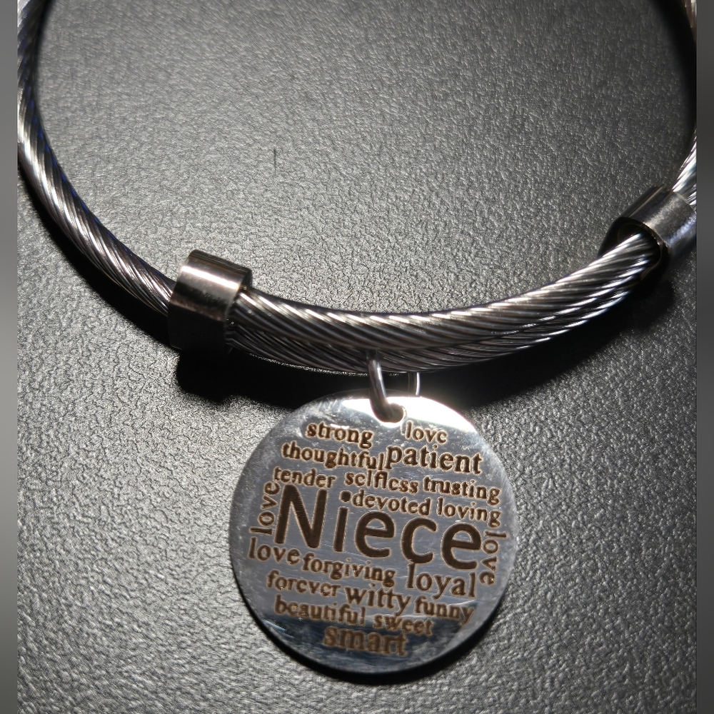 Niece Stainless Steel Silver Tone Cable Bangle Bracelet Gift Pink Box Jewelry